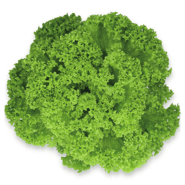 Lamarre